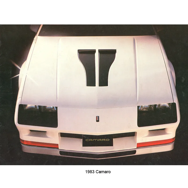 Cut-Out Clutch - Brown 1983